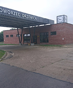 Drzewica, przygotowanie terenu pod polbruk