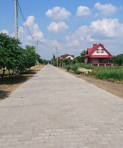 Sieciechów, ułożenie kostki